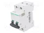 SCHNEIDER ELECTRIC Interruptor magnetotérmico ACTI9 C60H-DC 25A 2 polos
