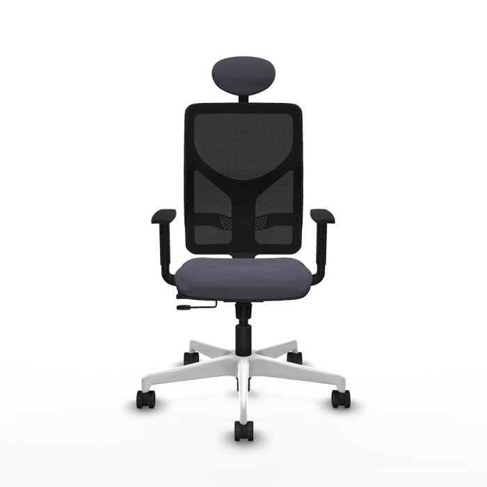 PIQUERAS Y CRESPO Silla de oficina Motilla con mecanismo Sincro/Traslack, Gris oscuro y Negro PIQUERAS Y CRESPO Silla de oficina Motilla con mecanismo Sincro/Traslack, Gris oscuro y Negro