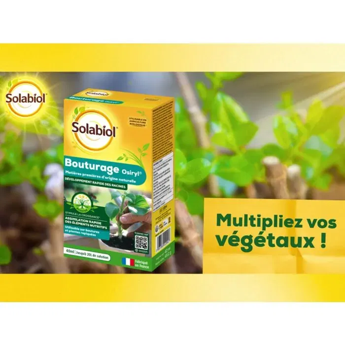 Solabiol SOBOUTU40 Osiryl Corte - Estimula el Enraizamiento de Esquejes y Plantas Trasplantadas - 40 ml
