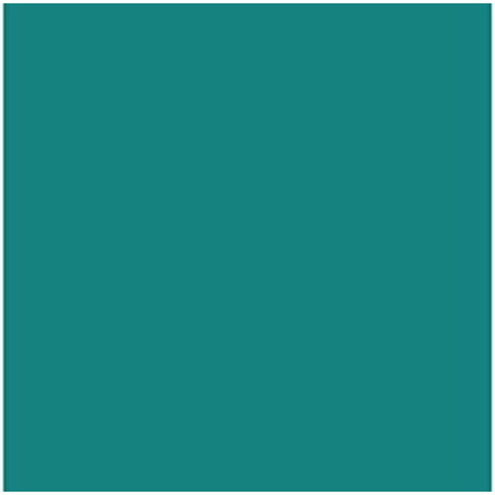 Guarro Cartulina Verde Menta 50x65cm 185gr (25 unidades)