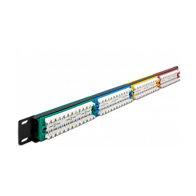 DeLOCK Patchpanel 24 Port Cat.5e 1U Multicolores DeLOCK Patchpanel 24 Port Cat.5e 1U Multicolores
