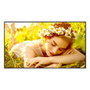 LG 43UL5Q-E Pantalla de Señalización Digital 43 Pulgadas 4K UHD