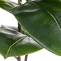 Ixia Rama de Caucho Artificial Verde Decoración 55 x 50 x 130 cm