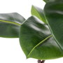 Ixia Rama de Caucho Artificial Verde Decoración 55 x 50 x 130 cm