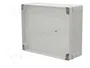 FIBOX TEMPO Carcasa Universal Gris IP65