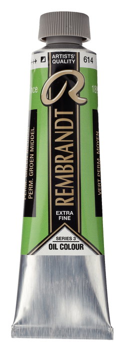 Rembrandt Colores Al Óleo Verde Permanente Medio 614 40 ml Rembrandt Colores Al Óleo Verde Permanente Medio 614 40 ml