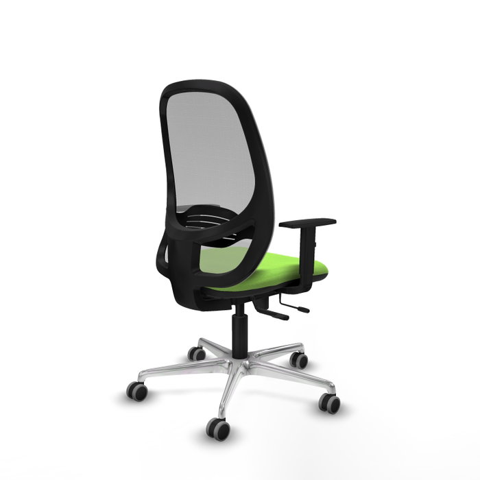 PIQUERAS Y CRESPO Silla de oficina Cilanco con mecanismo Sincro/Traslack, Pistacho y Gris PIQUERAS Y CRESPO Silla de oficina Cilanco con mecanismo Sincro/Traslack, Pistacho y Gris
