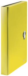 Leitz 46240015 Carpeta Polipropileno Acordeón 5 Posiciones, Bolsillo Frontal, Broche Giratorio, Formato A4, Amarillo