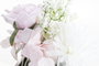 DKD Home Decor Planta de Crisantemo Rosa en PVC y Tela 16x16x25 cm