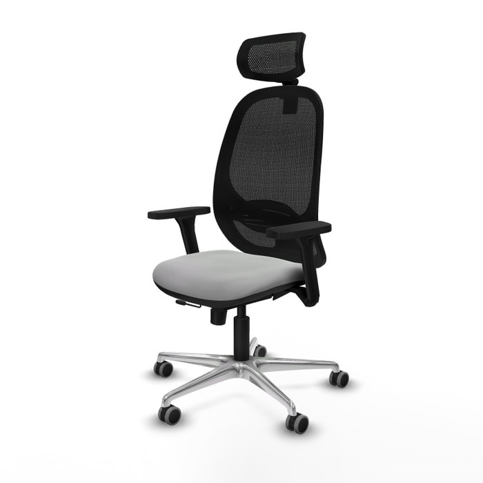 PIQUERAS Y CRESPO Silla de oficina Cilanco con mecanismo Sincro/Traslack, Gris claro y Negro PIQUERAS Y CRESPO Silla de oficina Cilanco con mecanismo Sincro/Traslack, Gris claro y Negro