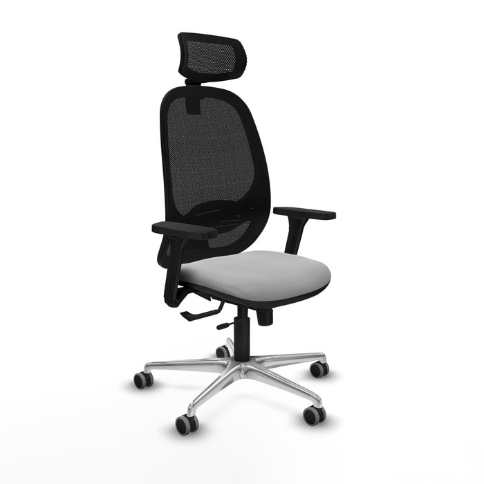 PIQUERAS Y CRESPO Silla de oficina Cilanco con mecanismo Sincro/Traslack, Gris claro y Negro PIQUERAS Y CRESPO Silla de oficina Cilanco con mecanismo Sincro/Traslack, Gris claro y Negro