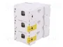 SCHNEIDER ELECTRIC Interruptor magnetotérmico ACTI9 C120N 100A 3 polos