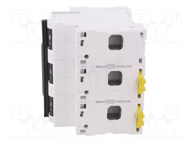 SCHNEIDER ELECTRIC Interruptor magnetotérmico ACTI9 C120N 100A 3 polos