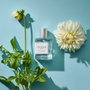 Clean Soft Laundry Agua de perfume para Mujer, 30 ml