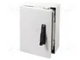 FIBOX Carcasa de Pared ARCA Gris