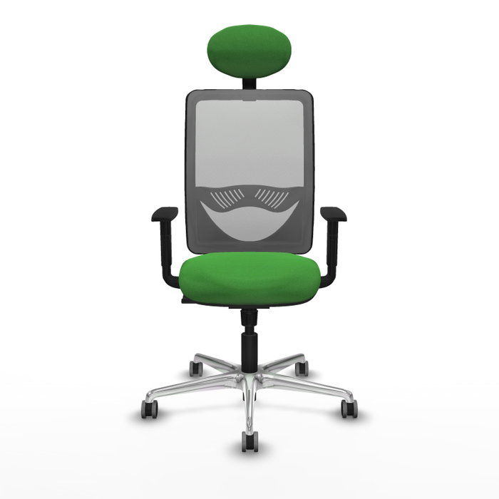 PIQUERAS Y CRESPO Silla de oficina Zulema con mecanismo Sincro, Verde y Gris PIQUERAS Y CRESPO Silla de oficina Zulema con mecanismo Sincro, Verde y Gris
