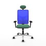 PIQUERAS Y CRESPO Silla de oficina Motilla con mecanismo Sincro, Verde esmeralda y Azul
