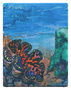 Ultimate Guard RTE Boulder 100+ Coral Places - Seablue Hush