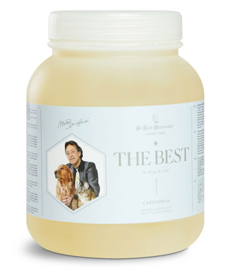 Iv San Bernard Champú Cassiopea 2,5lt para Perros y Gatos Pelo Corto con Extracto de Acacia