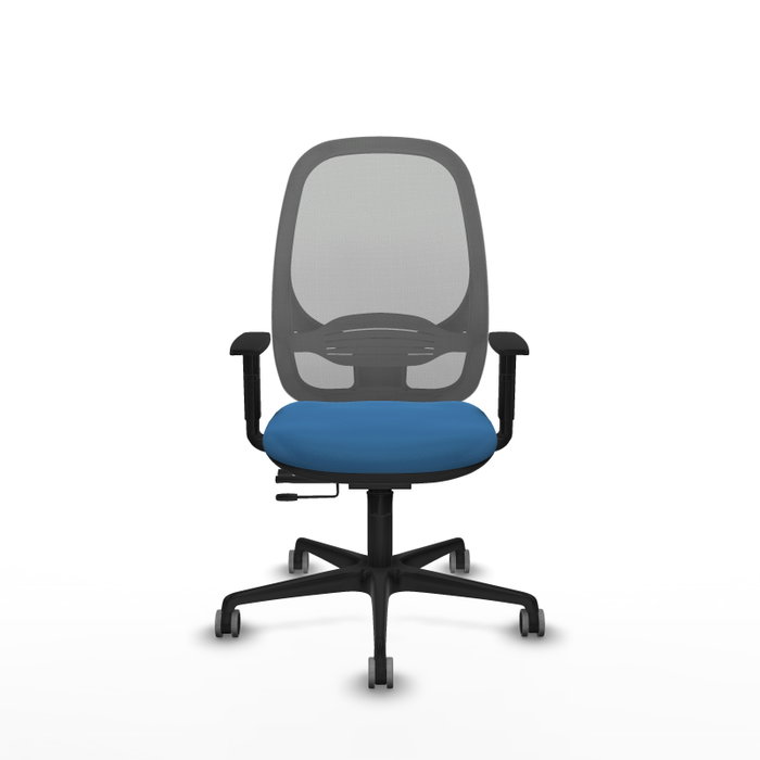PIQUERAS Y CRESPO Silla de oficina Cilanco con mecanismo Sincro/Traslack Azul claro y Gris PIQUERAS Y CRESPO Silla de oficina Cilanco con mecanismo Sincro/Traslack Azul claro y Gris