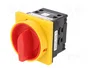 SPAMEL Interruptor de leva 25A 0-1 IP65