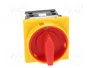 SPAMEL Interruptor de leva 25A 0-1 IP65
