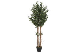 DKD Home Decor Árbol Olivo Verde de Poliéster y PP