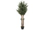 DKD Home Decor Árbol Olivo Verde de Poliéster y PP