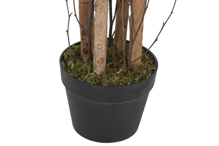 DKD Home Decor Árbol Olivo Verde de Poliéster y PP DKD Home Decor Árbol Olivo Verde de Poliéster y PP