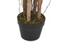 DKD Home Decor Árbol Olivo Verde de Poliéster y PP