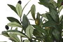 DKD Home Decor Árbol Olivo Verde de Poliéster y PP