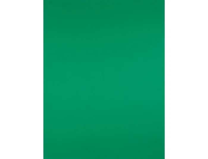 Liderpapel Cartulina Verde Navidad 50x65 cm 180 g