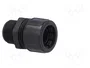 LAPP Conector final recto M20