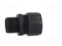 LAPP Conector final recto M20