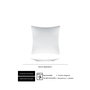 Bauscher Plato Llano 32 cm Vajilla Porcelana PLEASURE (Set de 12)
