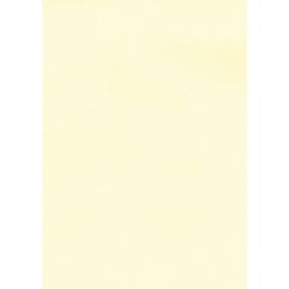 Apli Papel Textura Verjurado Crema 220 gr Tamaño A4 - 20 Hojas