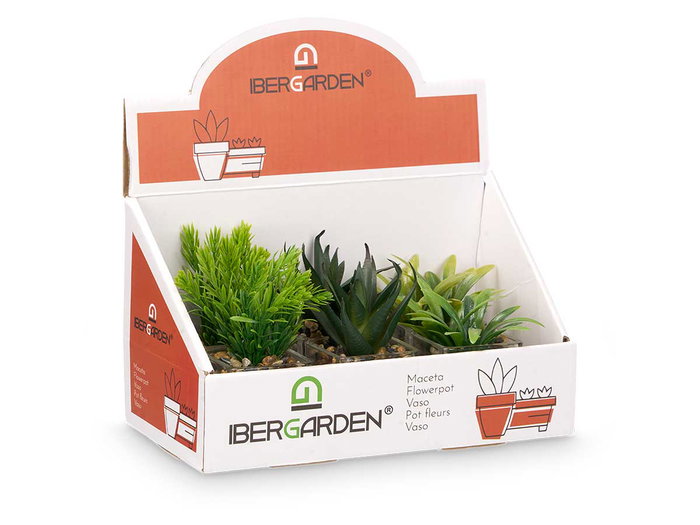 Ibergarden Maceta de Vidrio y Plástico para Planta, Surtido Colores Blanco Gris Negro, 7x11x7 cm (Set de 24) Ibergarden Maceta de Vidrio y Plástico para Planta, Surtido Colores Blanco Gris Negro, 7x11x7 cm (Set de 24)