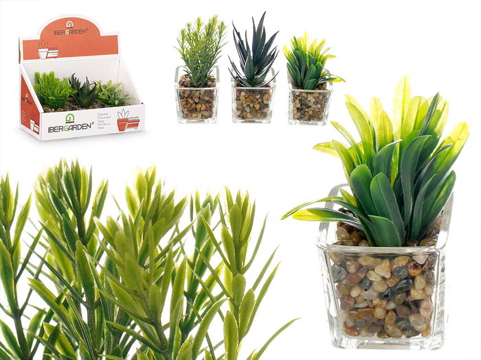 Ibergarden Maceta de Vidrio y Plástico para Planta, Surtido Colores Blanco Gris Negro, 7x11x7 cm (Set de 24) Ibergarden Maceta de Vidrio y Plástico para Planta, Surtido Colores Blanco Gris Negro, 7x11x7 cm (Set de 24)