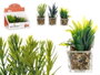 Ibergarden Maceta de Vidrio y Plástico para Planta, Surtido Colores Blanco Gris Negro, 7x11x7 cm (Set de 24)
