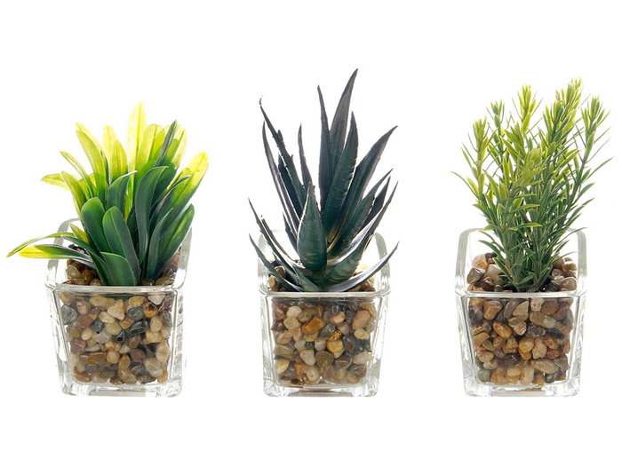 Ibergarden Maceta de Vidrio y Plástico para Planta, Surtido Colores Blanco Gris Negro, 7x11x7 cm (Set de 24) Ibergarden Maceta de Vidrio y Plástico para Planta, Surtido Colores Blanco Gris Negro, 7x11x7 cm (Set de 24)