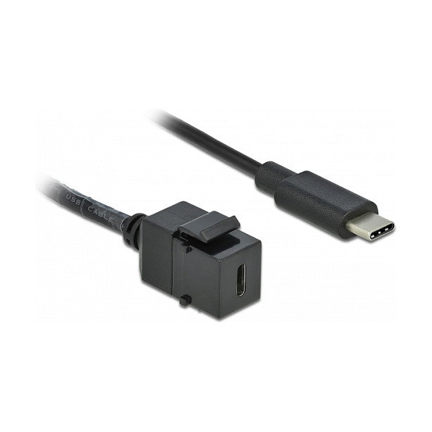 DeLOCK Módulo Keystone USB 5 Gbps Type-C™ hembra a USB Type-C™ macho con cable 25 cm