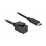 DeLOCK Módulo Keystone USB 5 Gbps Type-C™ hembra a USB Type-C™ macho con cable 25 cm