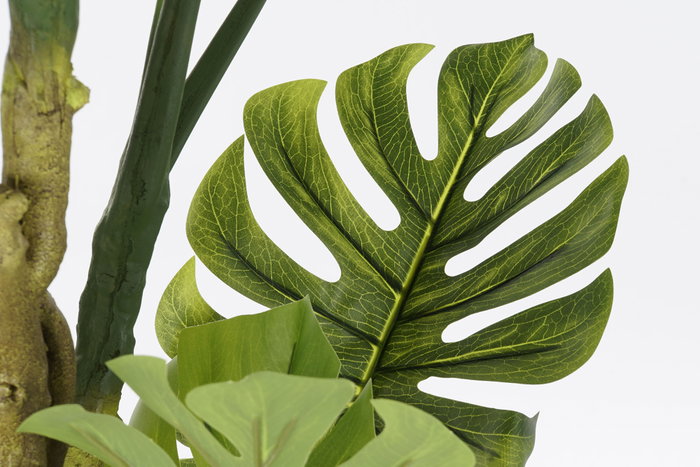 DKD Home Decor Árbol Monstera Verde y Marrón 75x75x180 cm