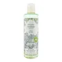 Woods of Windsor Lily of the Valley Gel de ducha 250 ml