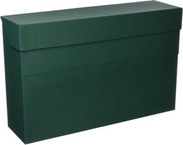 ELBA Pack de 3 Cajas de Transferencias L100 Color Verde