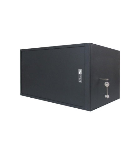 WP Armario Mini Rack de Seguridad Serie RWS 6U 19 Pulgadas Negro