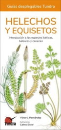 TUNDRA, HELECHOS, EQUISETOS Y LICOPODIOS - GUIAS DESPLEGABLES TUNDRA