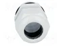 FIBOX Sello aislante M32 con rosca prolongada