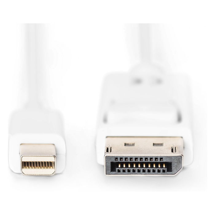 Digitus MiniDP -> DPort Cable DisplayPort 2m Macho/Macho Blanco Digitus MiniDP -> DPort Cable DisplayPort 2m Macho/Macho Blanco