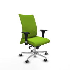 PIQUERAS Y CRESPO Silla Albacete Confidente Sincro Pistacho con Base de Aluminio y Brazos 1D